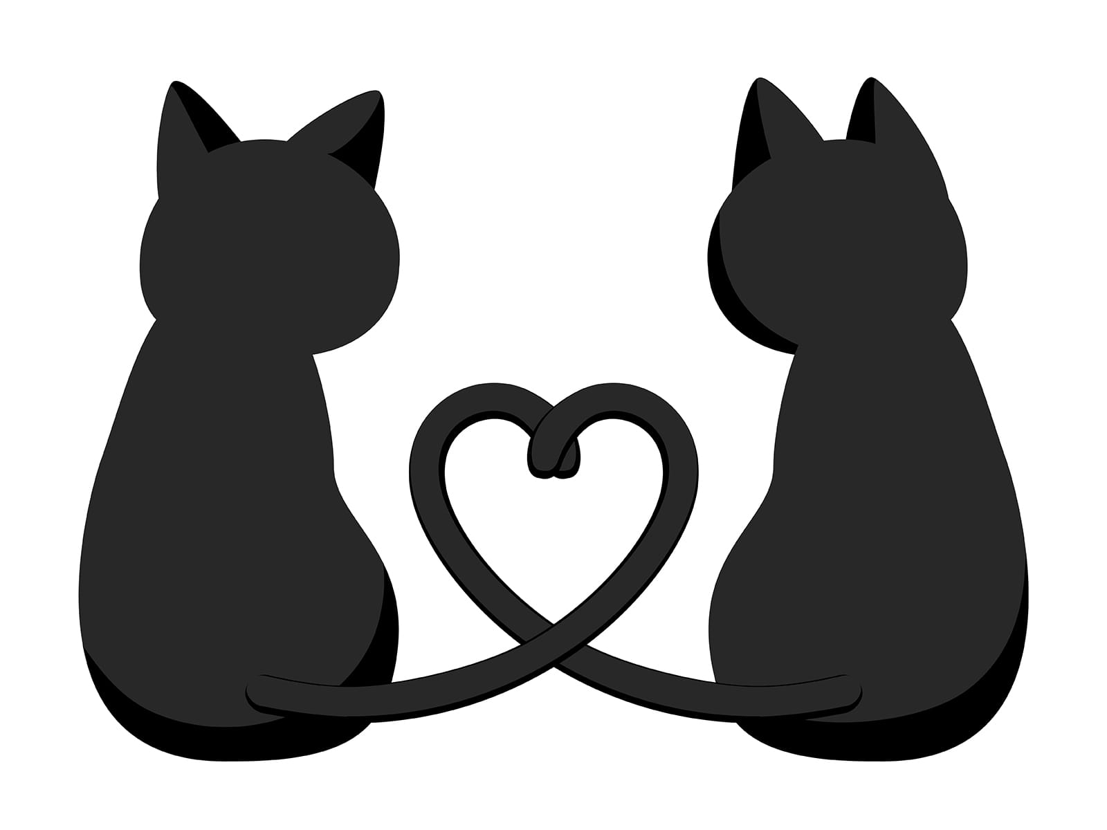 なぜ「相性診断」はSNSで広がりやすいのか