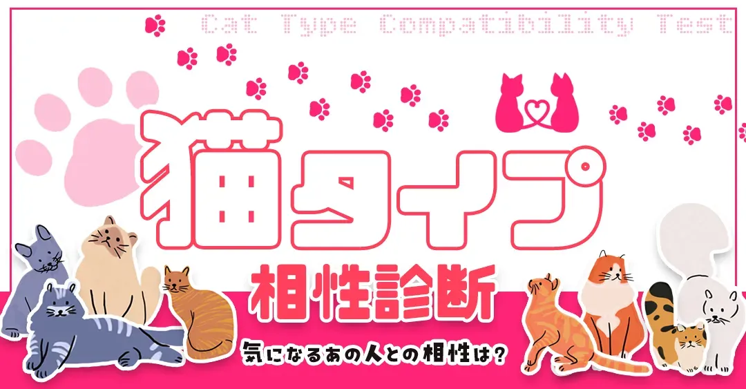 猫タイプ相性診断とは?どんな診断コンテンツなの?