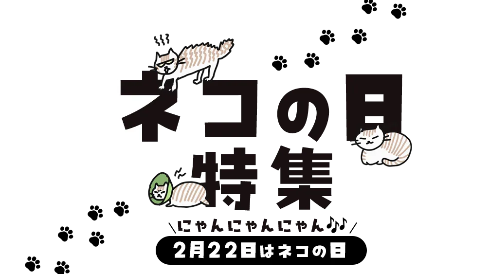 【猫の日特集】猫診断＆ねこ検定で遊ぼう！