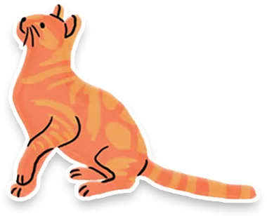 アメリカンショートヘア