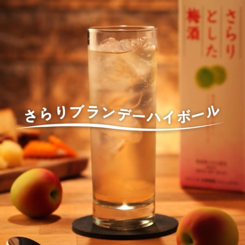 さらりブランデーハイボール