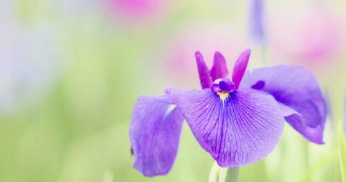 そば打ち体験、朝日峠ハイキング